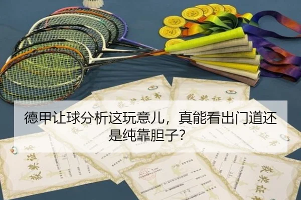 德甲让球分析这玩意儿，真能看出门道还是纯靠胆子？（leyu）